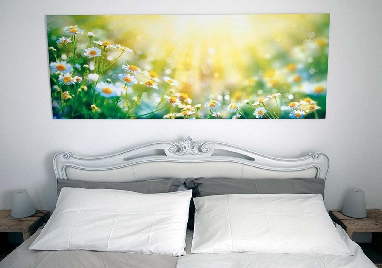 B&B Beauty House Cesena Bagian luar foto