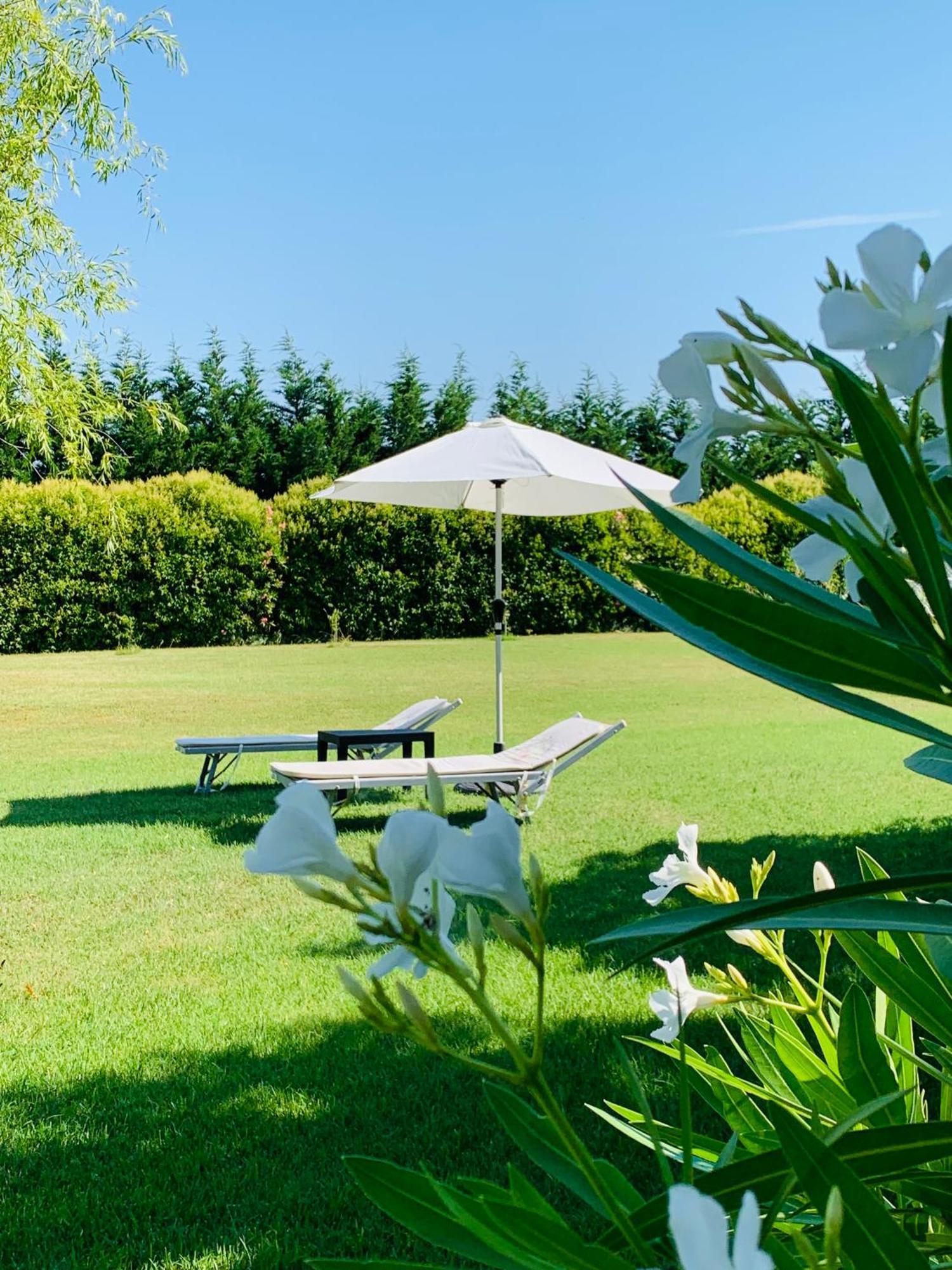 B&B Beauty House Cesena Bagian luar foto