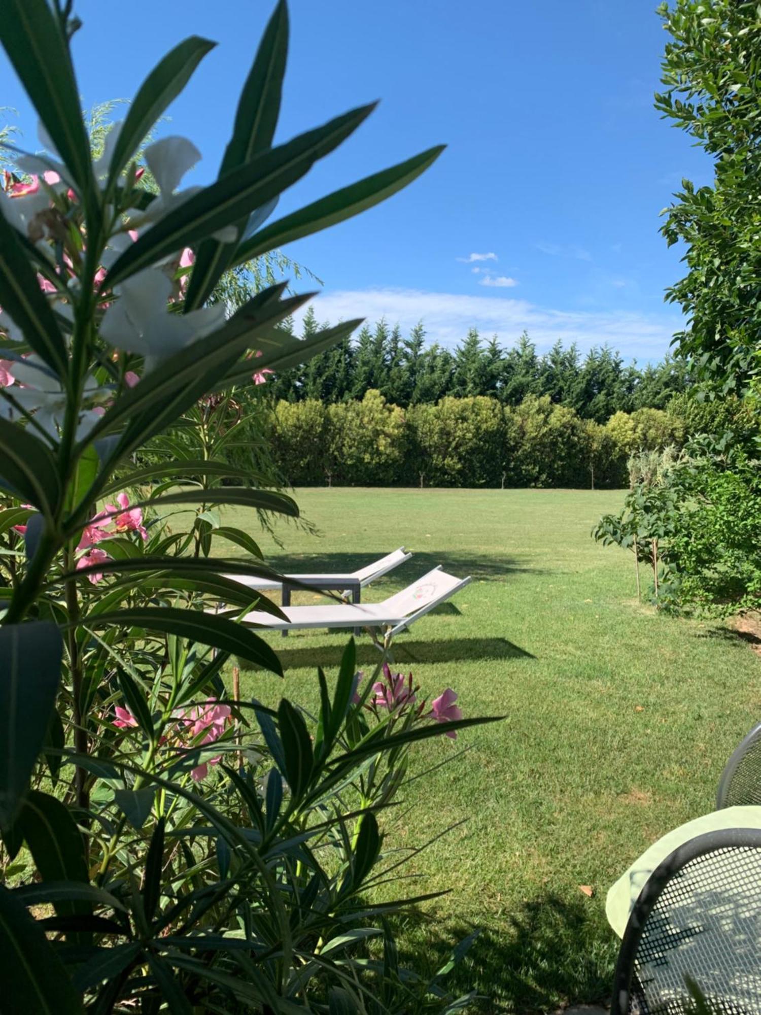 B&B Beauty House Cesena Bagian luar foto